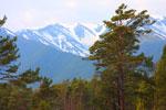 Байкал Алькор ЮГ